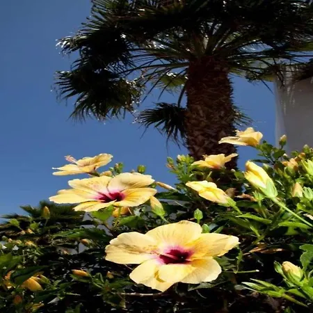 Villa Playa Blanca Sleeps 8 Pool Wifi