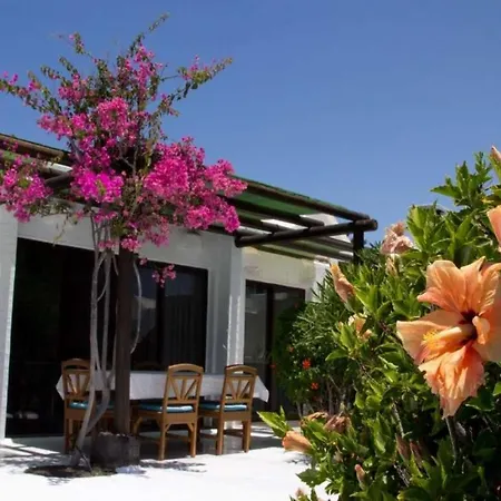 빌라 Playa Blanca Sleeps 8 Pool Wifi *