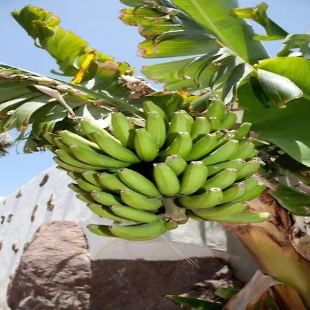 Playa Blanca Sleeps 8 Pool Wifi * 플라야블랑카